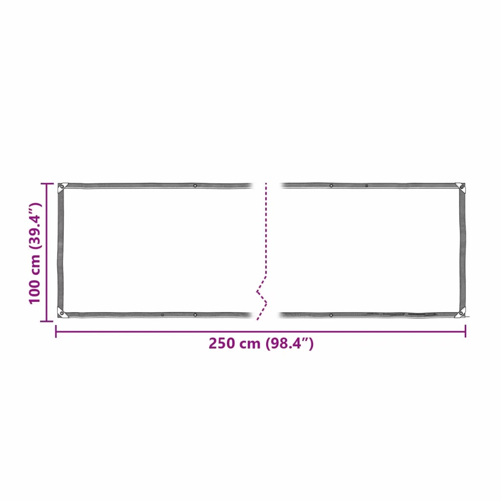 Copertura per Piante Trasparente 2,5 x 1 m PE 3429335