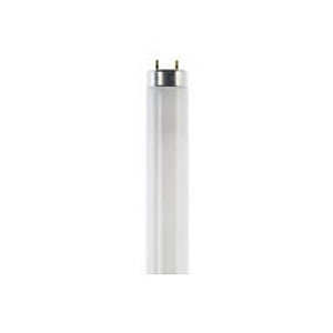 Lampada bl trifosforo l181tn t8 18w 865 6500k b08lw52hkt