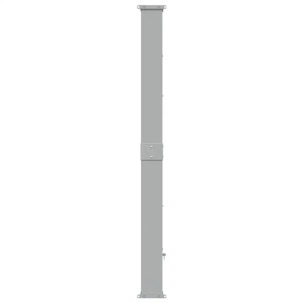 Tenda Laterale Retrattile per Patio 160x300 cm Marrone 48349