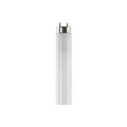 Lampada bl trifosforo l581tn t8 58w 865 6500k b08lxgrwl1