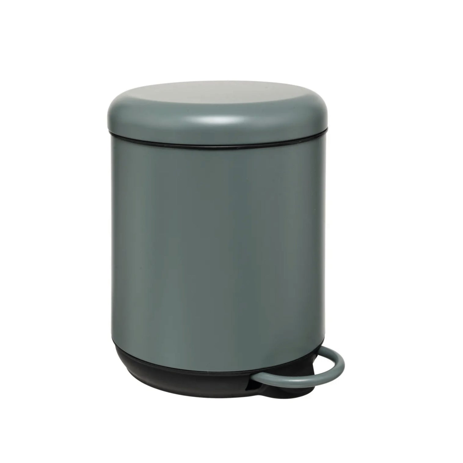 PATTUMIERA VERDE FICUS CON