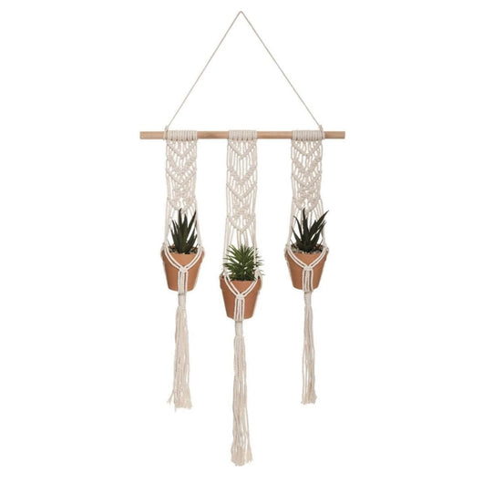 PIANTA A SOSPENSIONE HACIEND