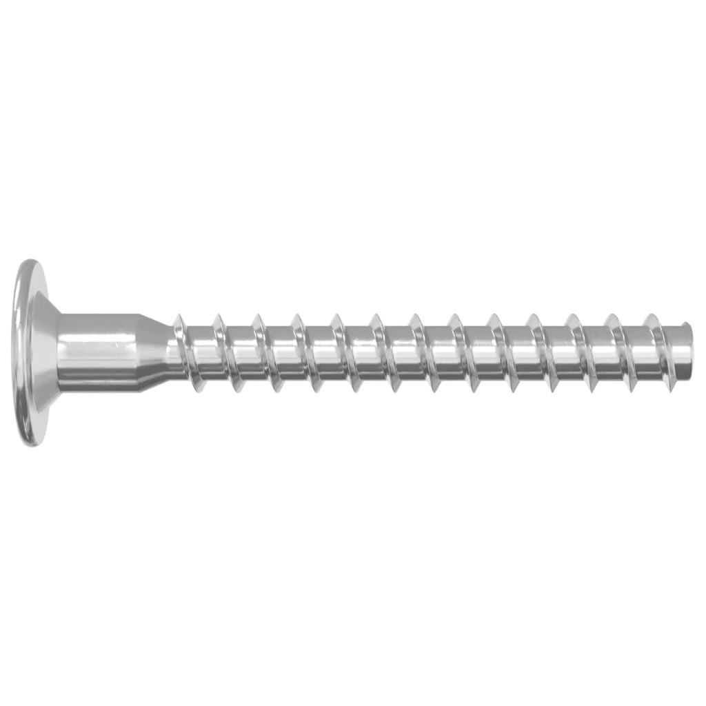 Viti confermat 12 pz Argento ?5 x 40 mm Metallo CFW1002183