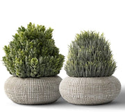 Due piante artificiali in vasi di cemento (15,6/14,5 cm) per decorazione di soggiorno, bagno, camera da letto, cucina, tavolo, ufficio, arredamento di stanza