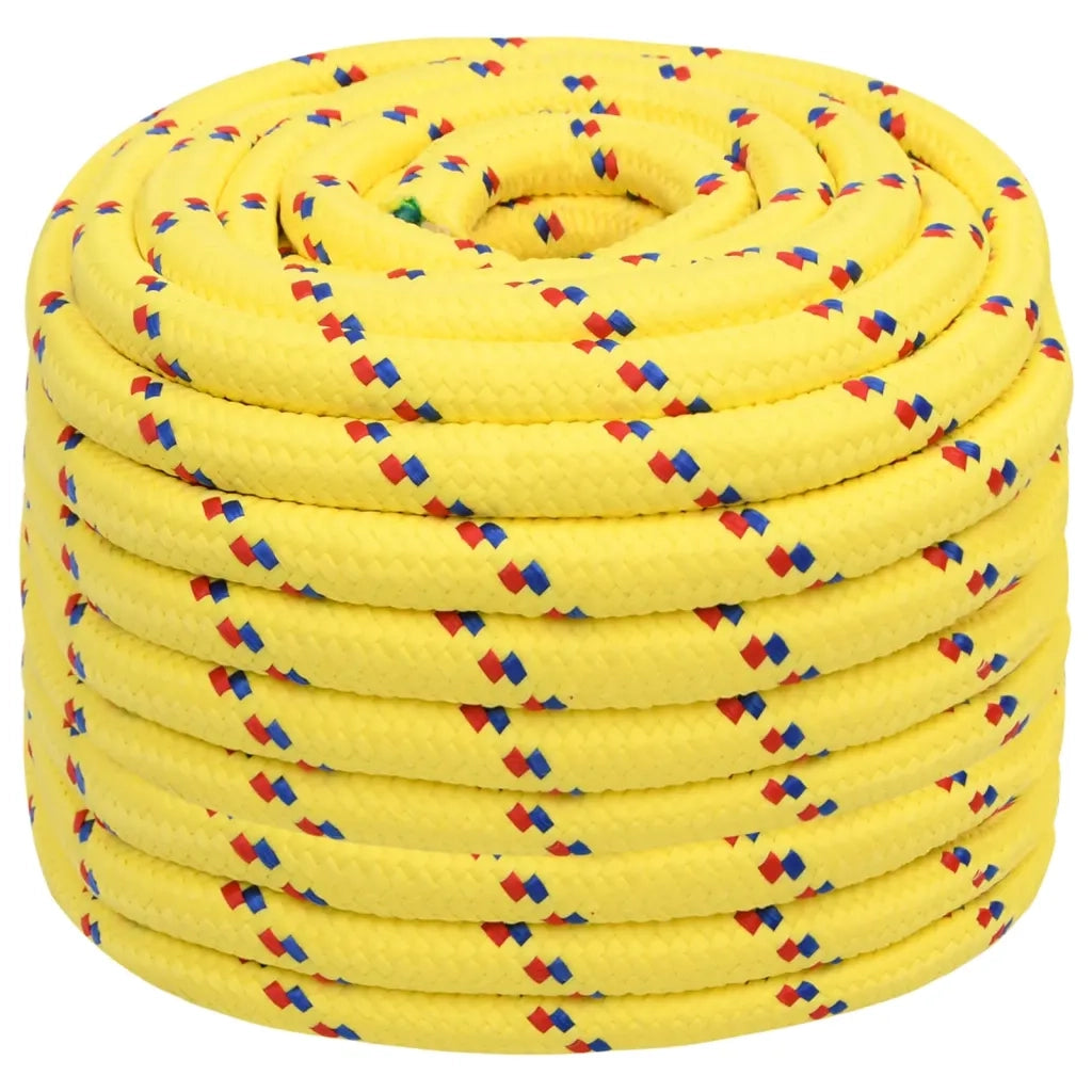Corda per barca Gialla 20 mm 25 m in Polipropilene 152632