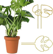 Supporti per piante Monstera - Ring di supporto per piante - Design unico - Oro - Protezione per piante - Adatto per interni ed esterni - 2 pezzi
