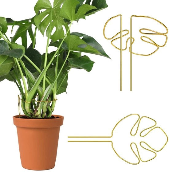 Supporti per piante Monstera - Ring di supporto per piante - Design unico - Oro - Protezione per piante - Adatto per interni ed esterni - 2 pezzi