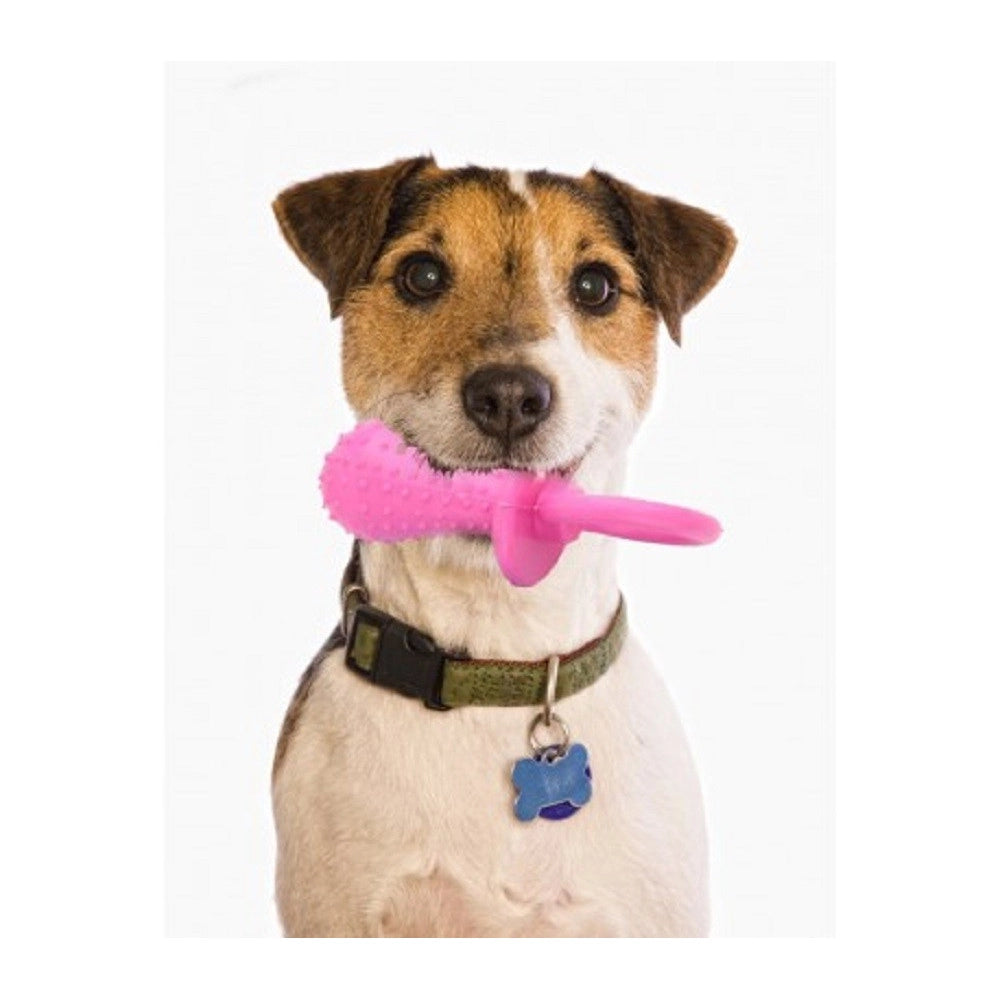 Trade Shop - Gioco Riportino Per Animali Ciuccio In Gomma Sonoro 14 Cm Morbido Per Cani Gatti -