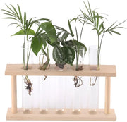 Bacino di Coltura in Vetro con Stantuffo in Legno - Design Transparente - Facile da Pulire - Ideale per la Decorazione di Casa e Ufficio - Idoneo per l'Idrocoltura - Vasca per Piante