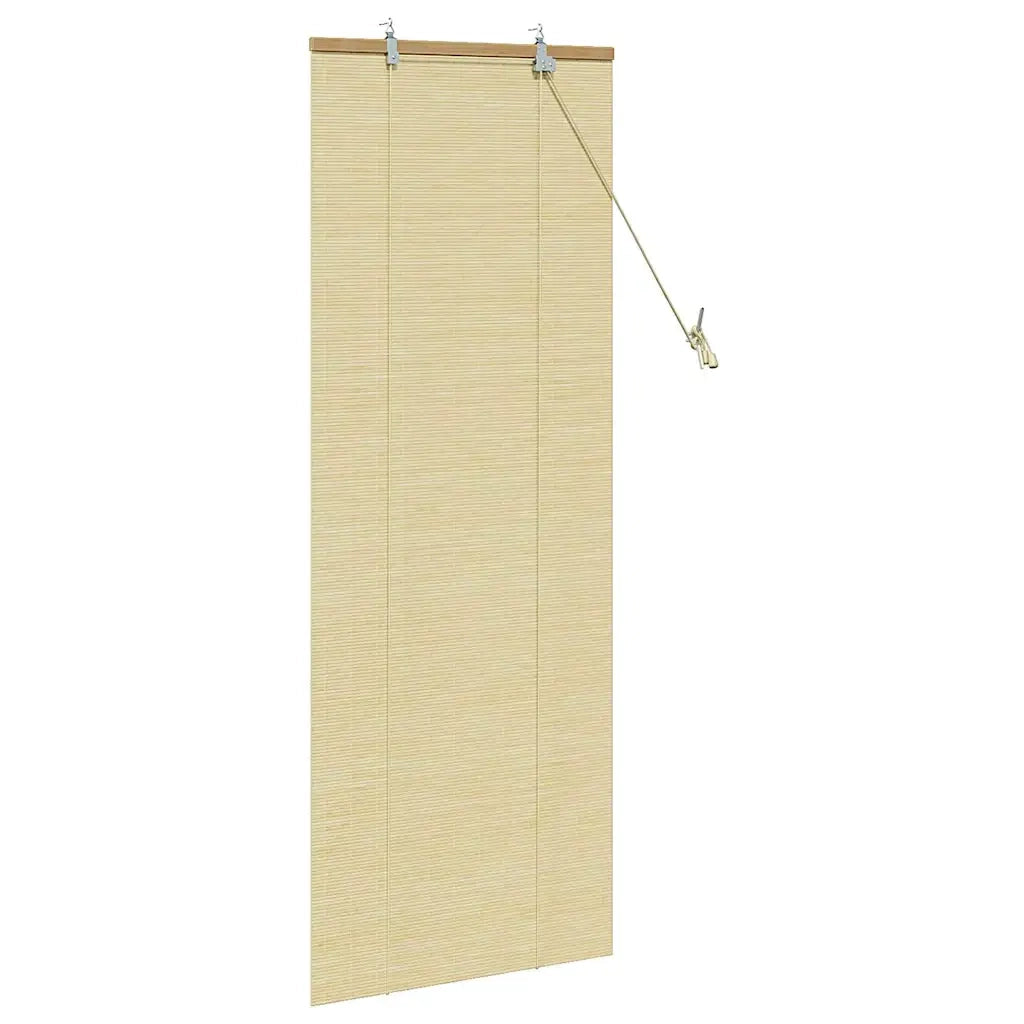 Tenda a rullo con tende Natura 60 x 160 cm Bambù 42006878
