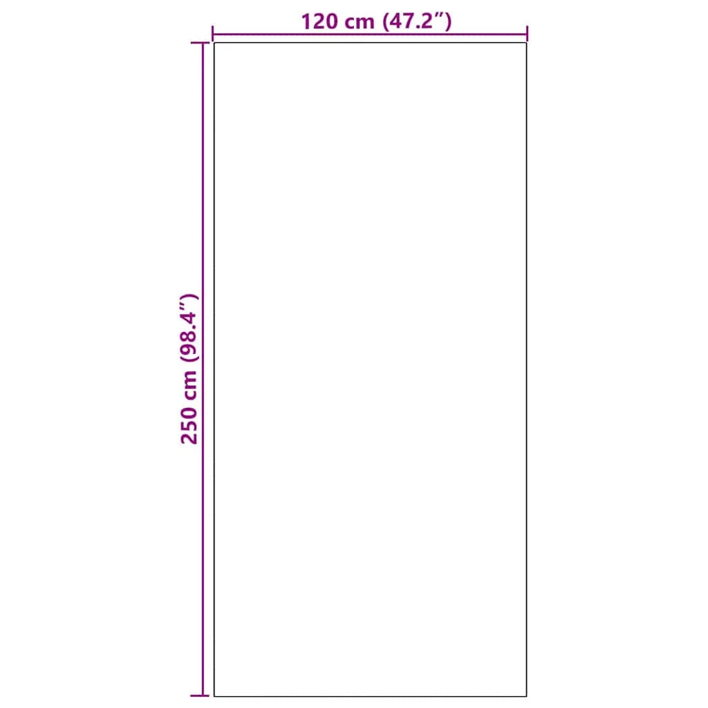 Zerbino d'ingresso moderno rettangolare per interni/esterni 120 x 250 cm poliammide nero 02_0057922