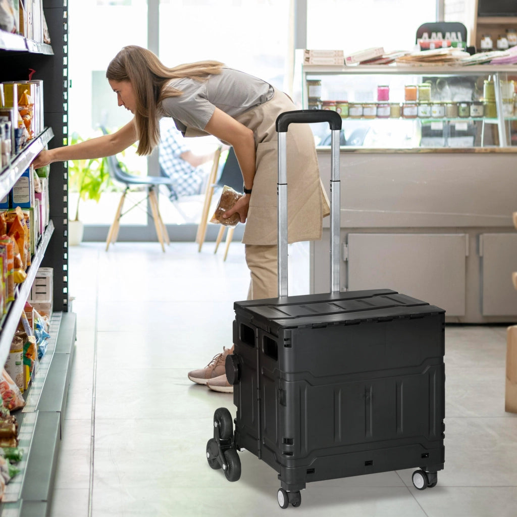 Carrello della spesa pieghevole ¨C zephmum ¨C Nero, acciaio, 65 kg