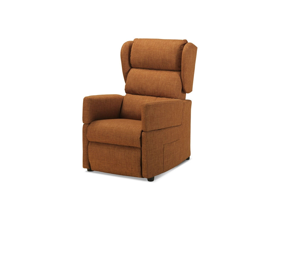 Poltrona Alzapersona 72x80-175x111 cm con Bracciolo Estraibile Dispositivo Medico 1 in Poliestere Nosteo Lenny 641