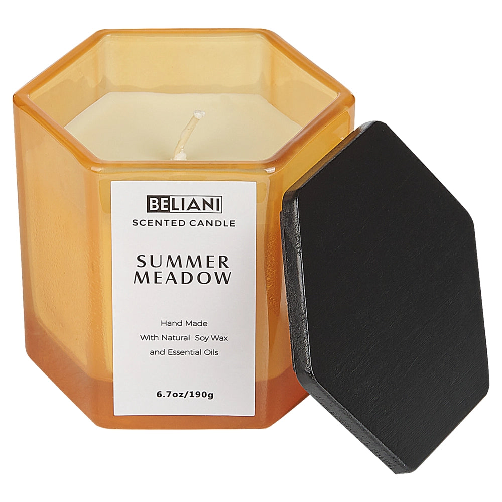 Set candela profumata in cera di soia 100% e diffusore con bastoncini, stoppino di cotone, vetro profumo fresco prato estivo