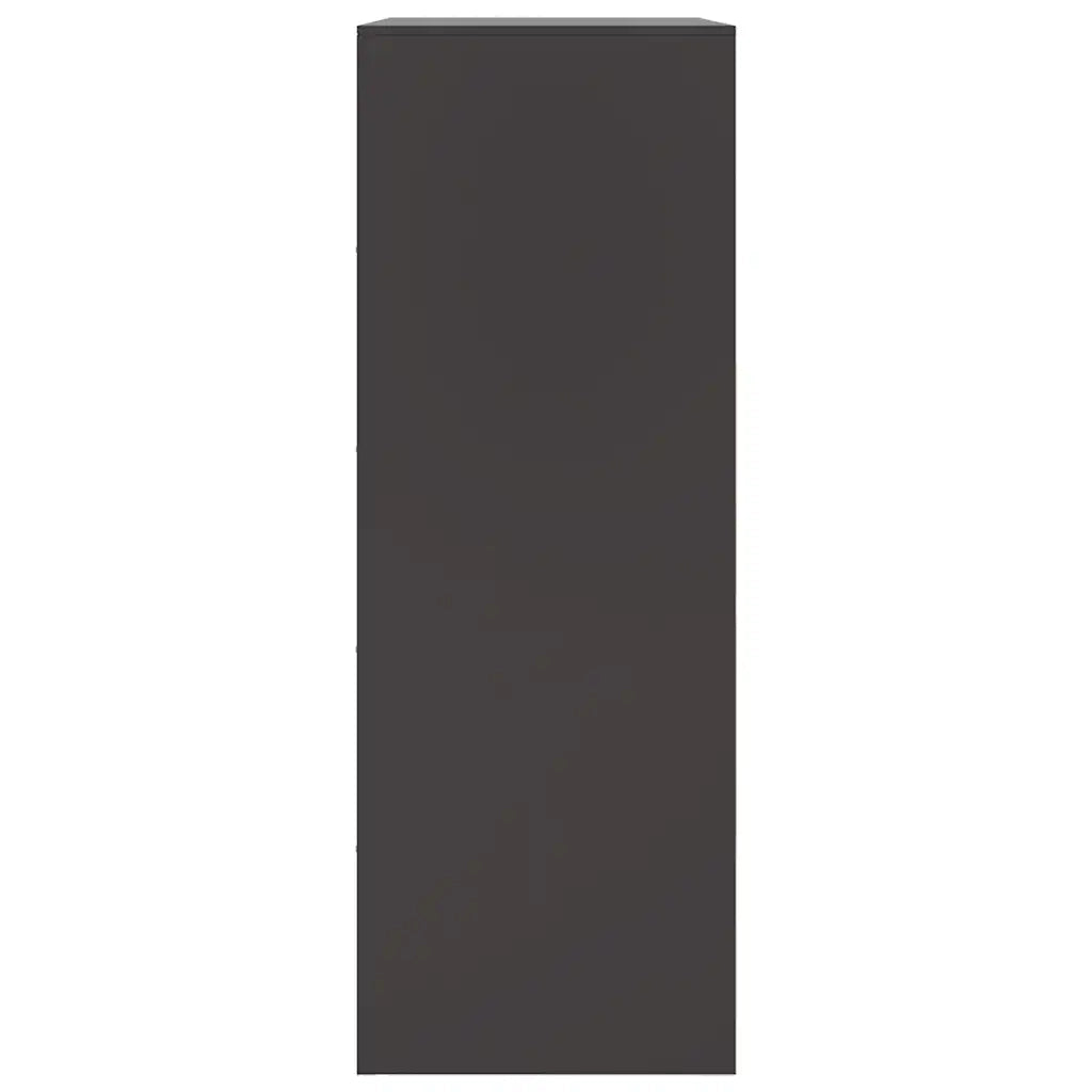 Credenza | Madia | Buffet da pranzo | Armadio da pranzo Nera 67x39x107 cm in Acciaio