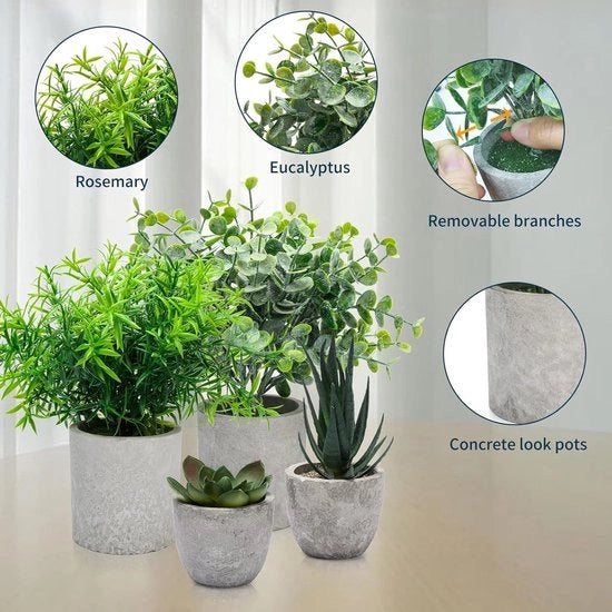 Quattro piante artificiali in vaso, piccole piante artificiali, eucalipto, piante grasse, rosmarino, piante plastiche, davvero reali, mini piante finte per bagno, soggiorno, finestra, scrivania, decorazione interna.