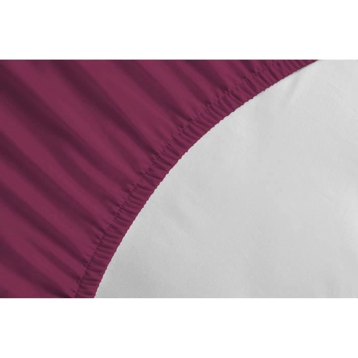 Lenzuolo con angoli - LOVELY HOME - LH71610 - 180x200+30 cm - Fucsia