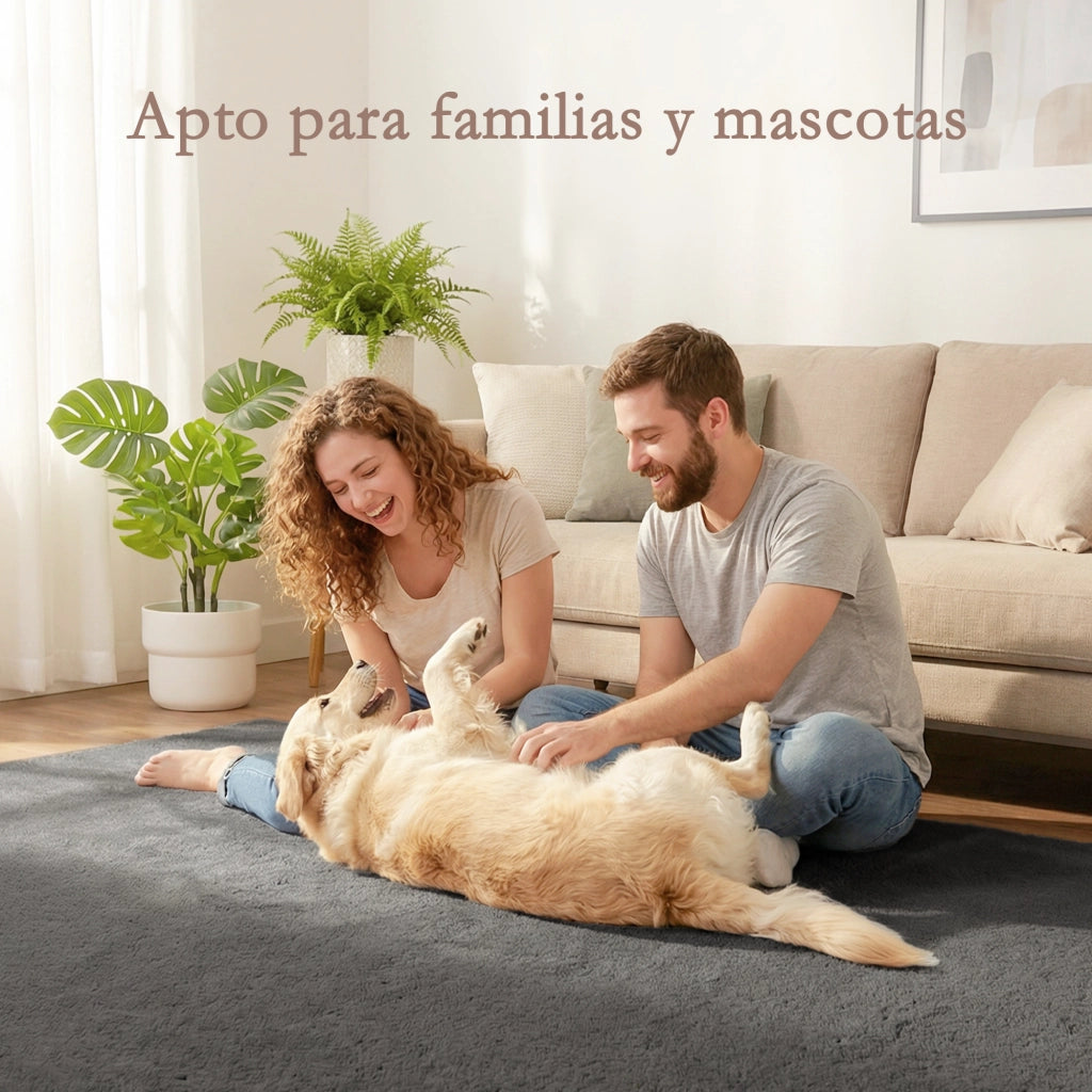 Tappeto Moderno ¨C zephmum ¨C Grigio Chiaro 120x160 cm Pelo Lungo Lavabile