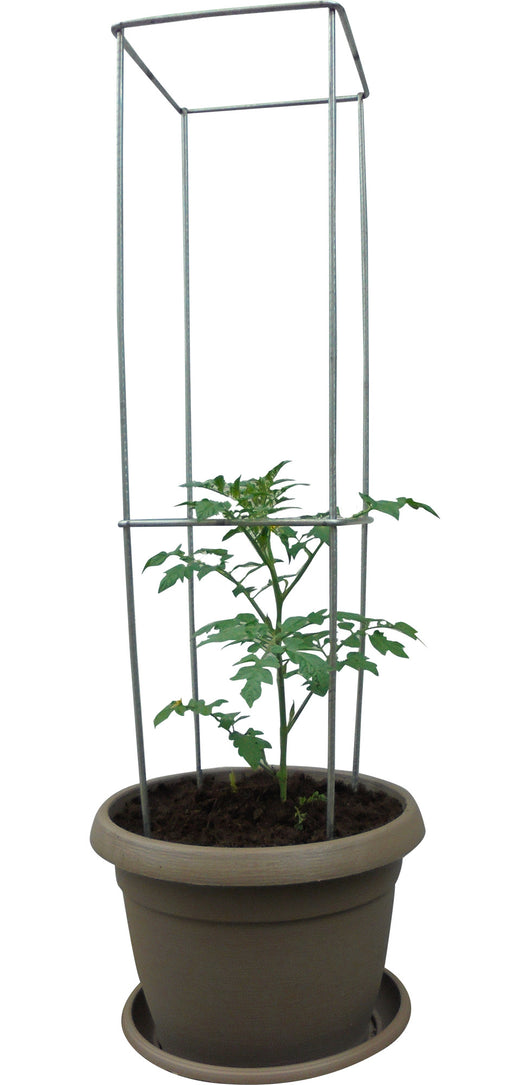 Kit Coltivazione Piante con Sostegno Vaso Ø30 cm e Sottovaso in Polipropilene Agrati