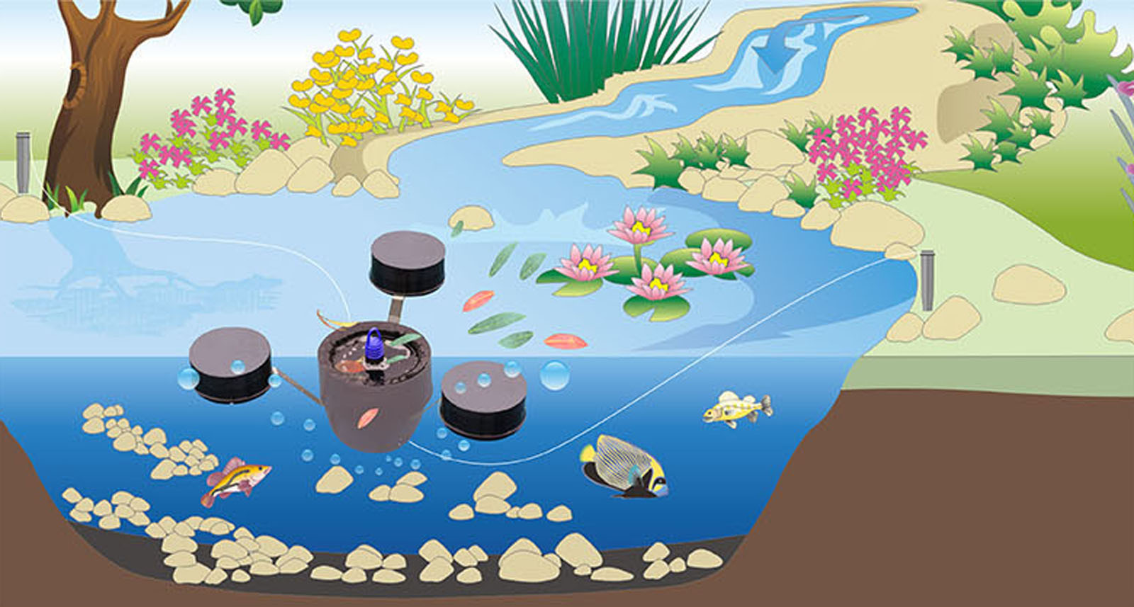 Skimmer galleggiante CSP-250 per laghetto, Pompa 2500l/h 45W e Fontana