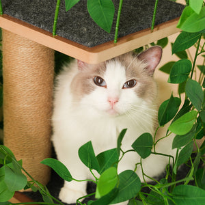 Tiragraffi-Xylo-190cm 4 piattaforme foglie removibili