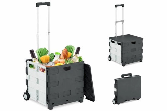 Carrello per spesa Ripiegabile fino a 35 kg – Carrello con 4 Ruote – Box di trasporto Opportuna – Maniglia in Alluminio Regolabile – Carrello per spesa per Shopping, Viaggi & Ufficio