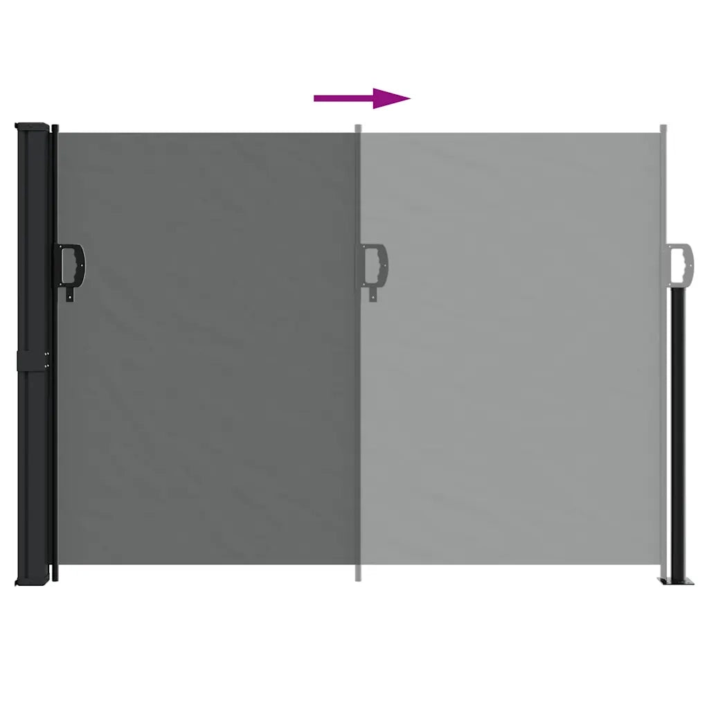 Tenda da sole laterale retrattile antracite 140x600 cm 4004518