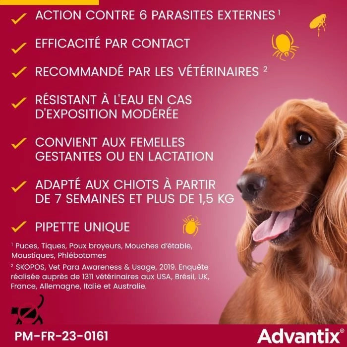 Pipette antiparassitarie ADVANTIX 6 - Per cani molto piccoli da 1,5 a 4 kg