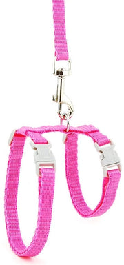 Kit di Cinturazione per Gatti - Cinturino Adattabile per Gatti e Piccoli Cani - Cinturone per Gatti e Cani con Leva I - Leash di Sicurezza - Con Viti per Prevenire la Fuga - Comodo - Per Gatti e Piccoli Cani