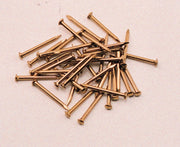 SC PUNTE TESTA BOMBATA OTTONE 1,8X30 MM  60 G*- CBD di BORGHETTI- 10,0 pz