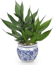 Pianta Artificiale a Rotazione per Interni in Ciotola Ceramica 12,5 Pollici - Pianta di Bambù in Vaso di Porcellana Blu-Bianco per Bagno Cucina - Pianta Decorativa - Facile da Manutenere