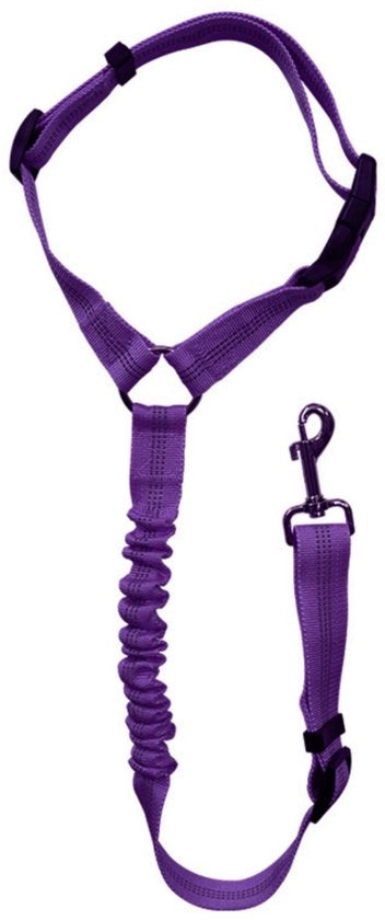Cintura di sicurezza per cani - 2 pezzi - cintura di sicurezza per cani con elastico - per cani piccoli e medio piccoli - cintura con cinghia - cinghia per cani - cinghia elastica retrattile