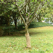 Rotolo di iuta 0,5x50 m 100% iuta 200 gsm 155799
