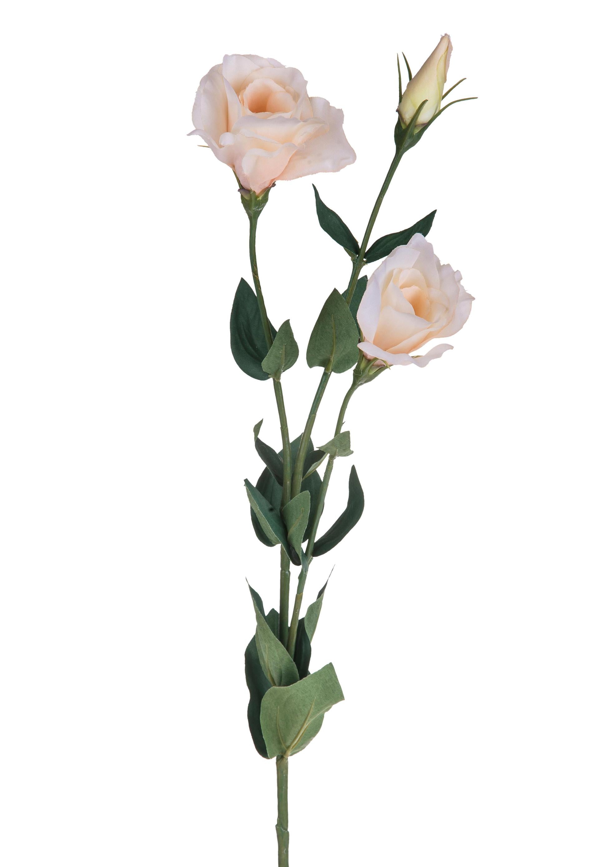 Set 6 Lisianthus Artificiali con Fiori Altezza 75 cm