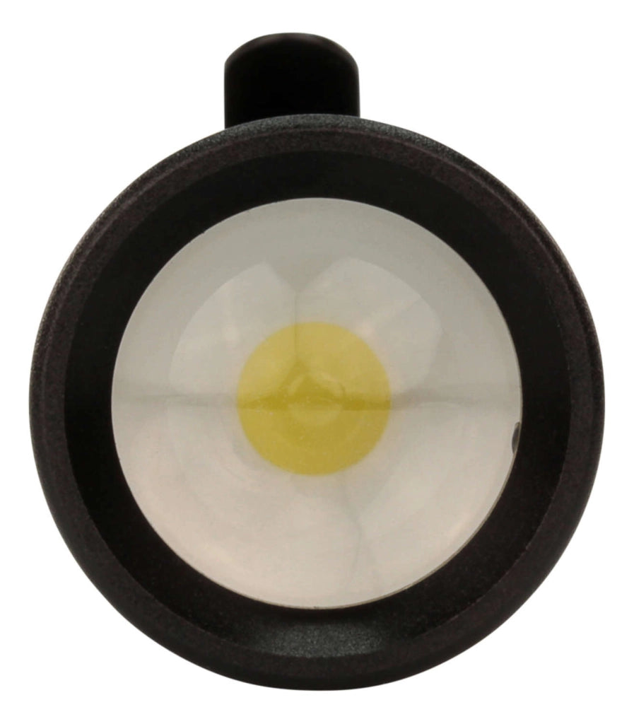 Ansmann 1600-0159 T50F LED Torcia tascabile a batteria 60 lm