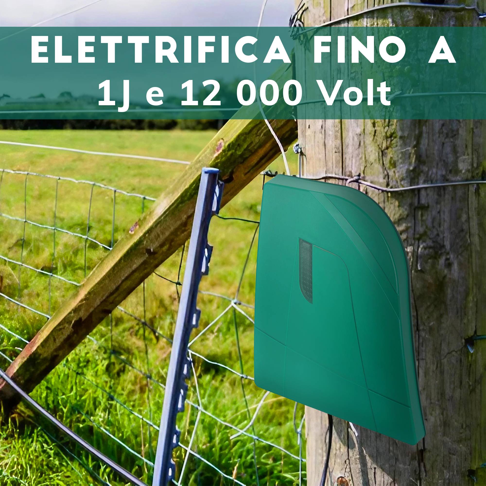 ELETTRIFICATORE 220V X1000 E X3500 X1000