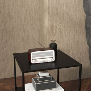 EasyComfort Tavolino da Caffè in Stile Industriale in Acciaio a 2 Ripiani, 40x40x45cm, Nero