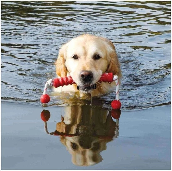 Attività Canina Mot-Long, Nuoto, 20 cm/42 cm