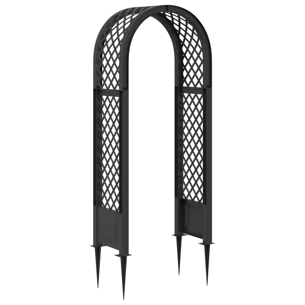 Arco di rose con punte Antracite 97 x 43 x 218 cm PP CFW5162863
