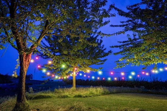 Fili di Illuminazione Esterno Chilli Pepper - 10 LED - 5m