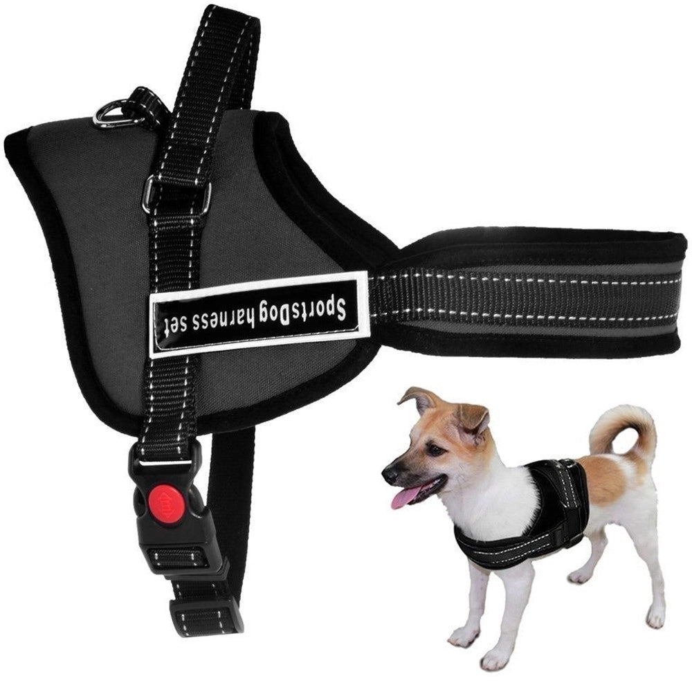 Trade Shop - Pettorina Cinghia Cani Cane Bardatura Cintura Imbragatura Addestramento -    L
