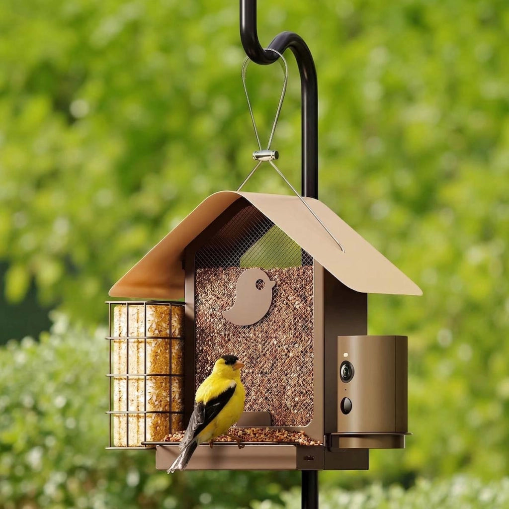 Mangiatoia Connessa per Uccelli con Telecamera AI e Modulo Solare IP66 Bronzo Birdfy