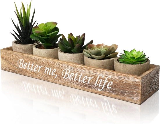 Mini Succulenti Artificiale con Scatola di Rifornimento in Legno - Piante Artificiale - 5 Pezzi - Verde - Plastica