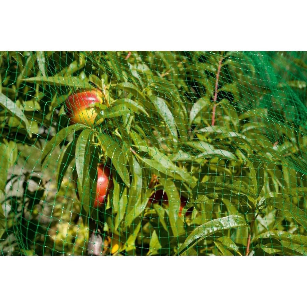 Trade Shop - Rete Anti Uccelli Protezione Ortaggi Verde 4 X 3 Metri Giardino Orto Antiuccelli -