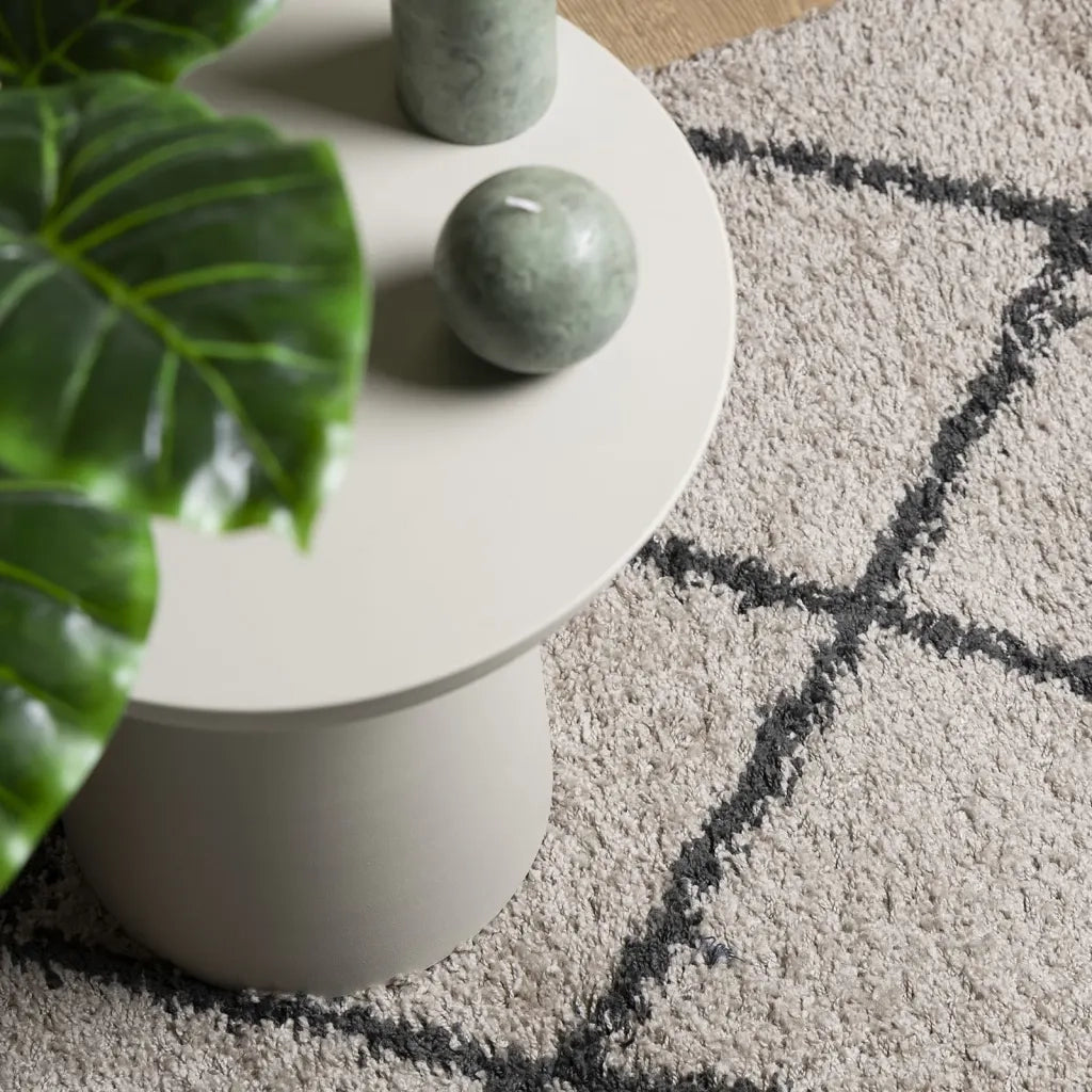 Tappeto Shaggy PAMPLONA a Pelo Lungo Beige e Antracite 80x250cm 375385