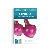 Cipolla Tropea rossa tonda Gran Raccolto