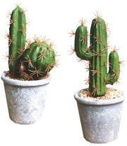 Decorative Artificial Succulent Planter con Pietra e Sabbia, Artificiali Cacti per Bagno/Décorazione Casa DIY Casa (Set B)