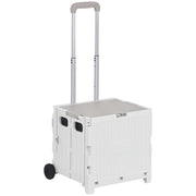 Carrello Spesa 2 Ruote ¨C Xylo ¨C Manico Regolabile 32L 41,5x32,5x85cm Bianco