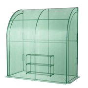 Serra da giardino inclinata 200 x 100 x 215 cm con ripiano per piante a 3 livelli e protezione solare in PE verde 20_0020780