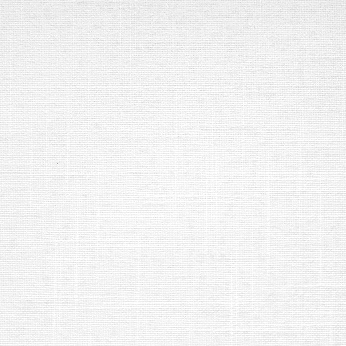 VIEWTEX Tenda a rullo Traslucida Shape Bianco 220 X 250cm - Made in Europe - 5 anni di garanzia